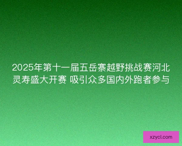 2025年第十一届五岳寨越野挑战赛河北灵寿盛大开赛 吸引众多国内外跑者参与